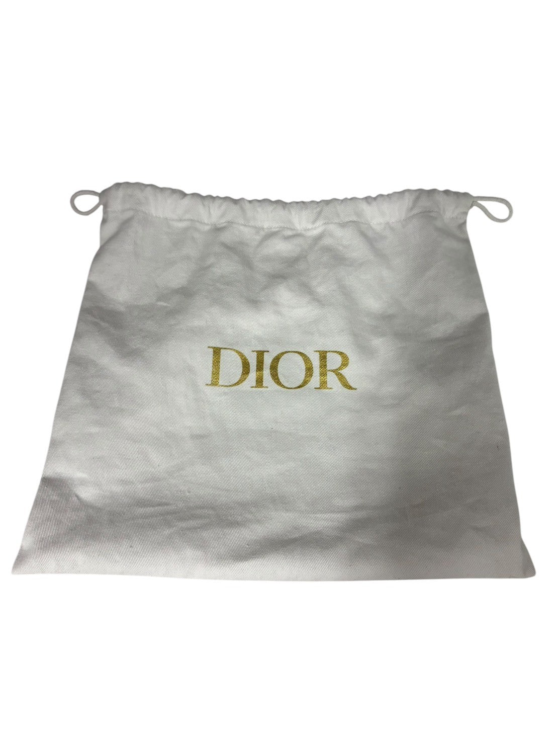 Dior Waist pouch