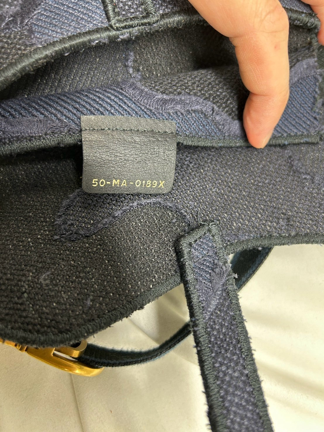 Dior Body Bag Trotter