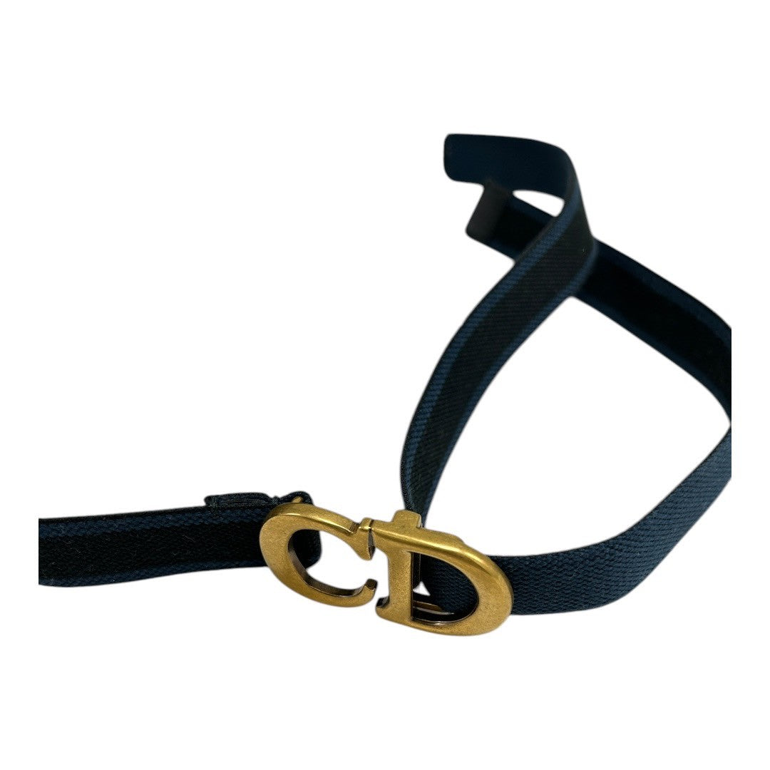 Dior Body Bag Trotter