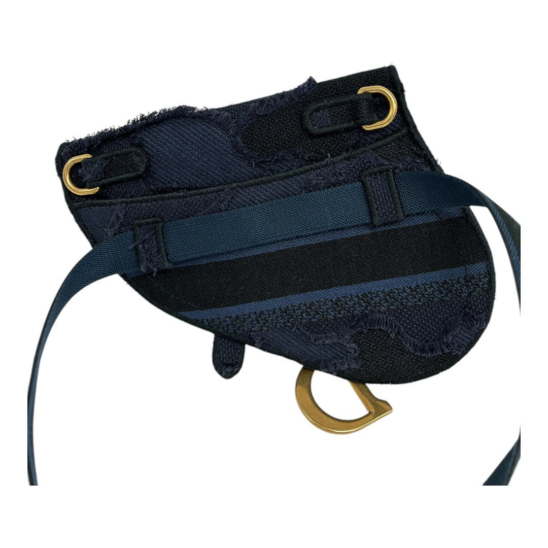 Dior Body Bag Trotter