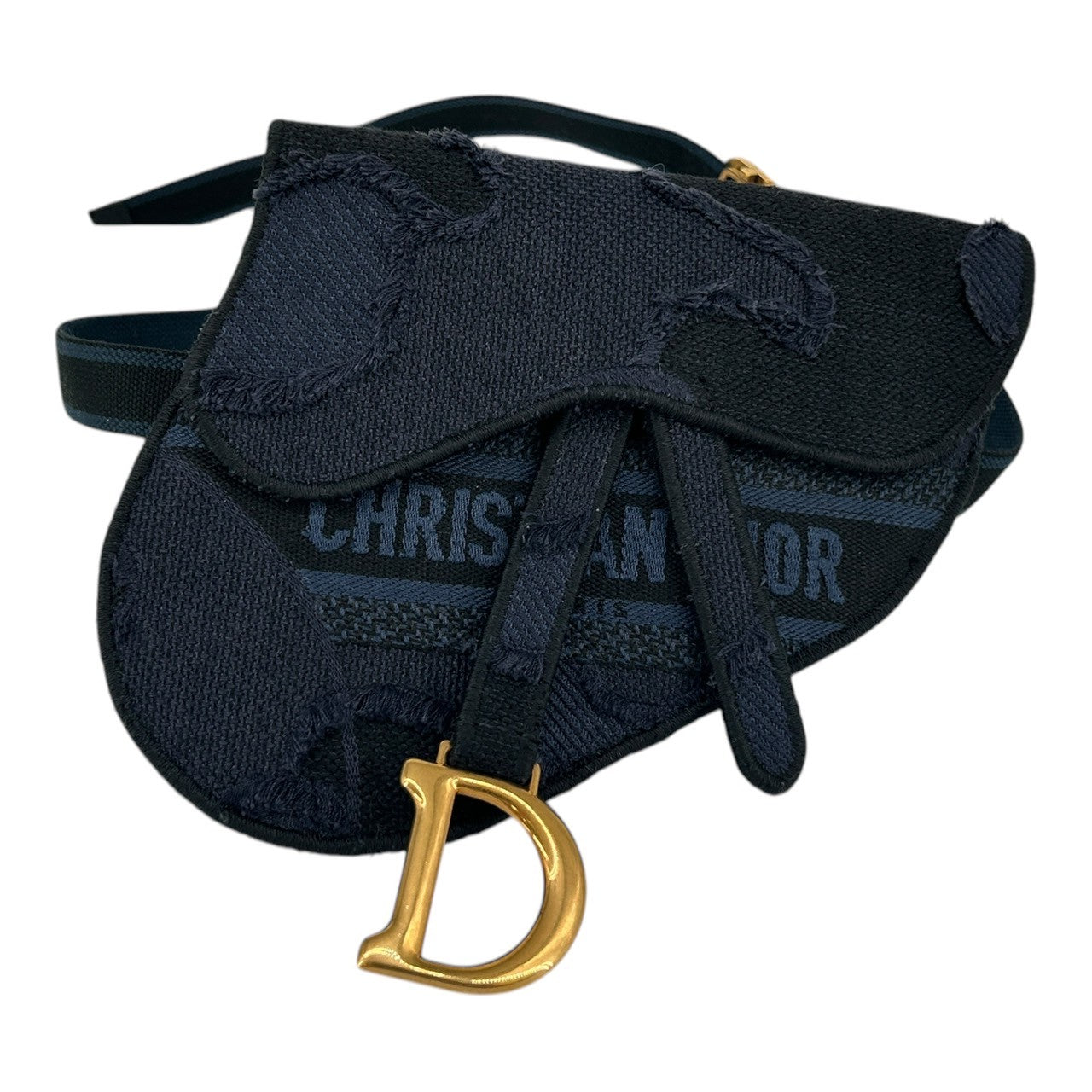 Dior Body Bag Trotter