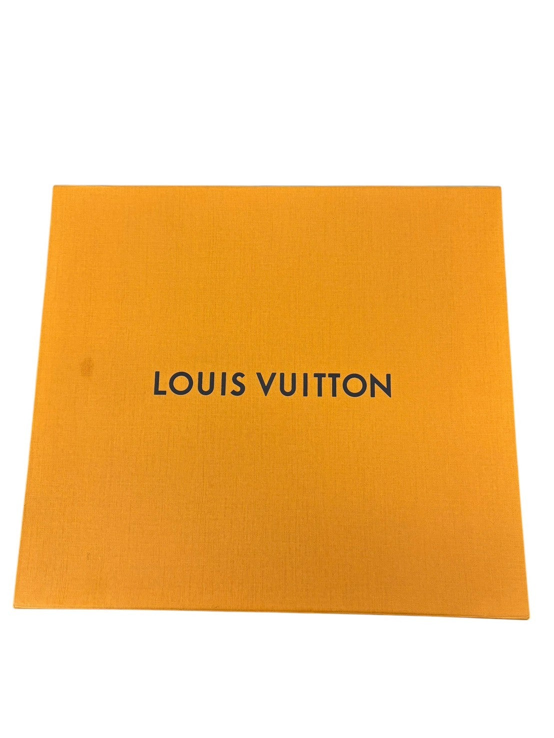 Louis Vuitton　bandana　Rucksack