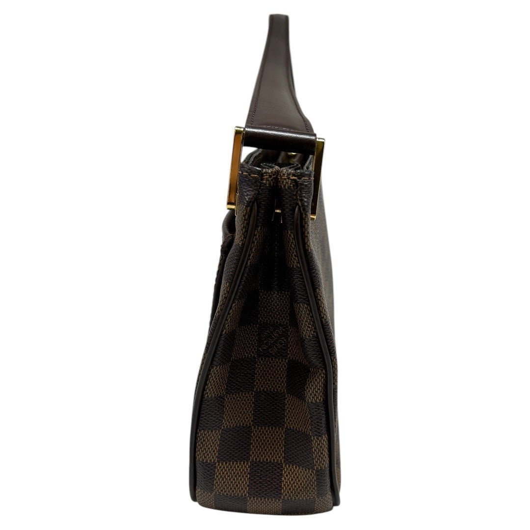 Louis Vuitton　Overnew　Hundbag Damier
