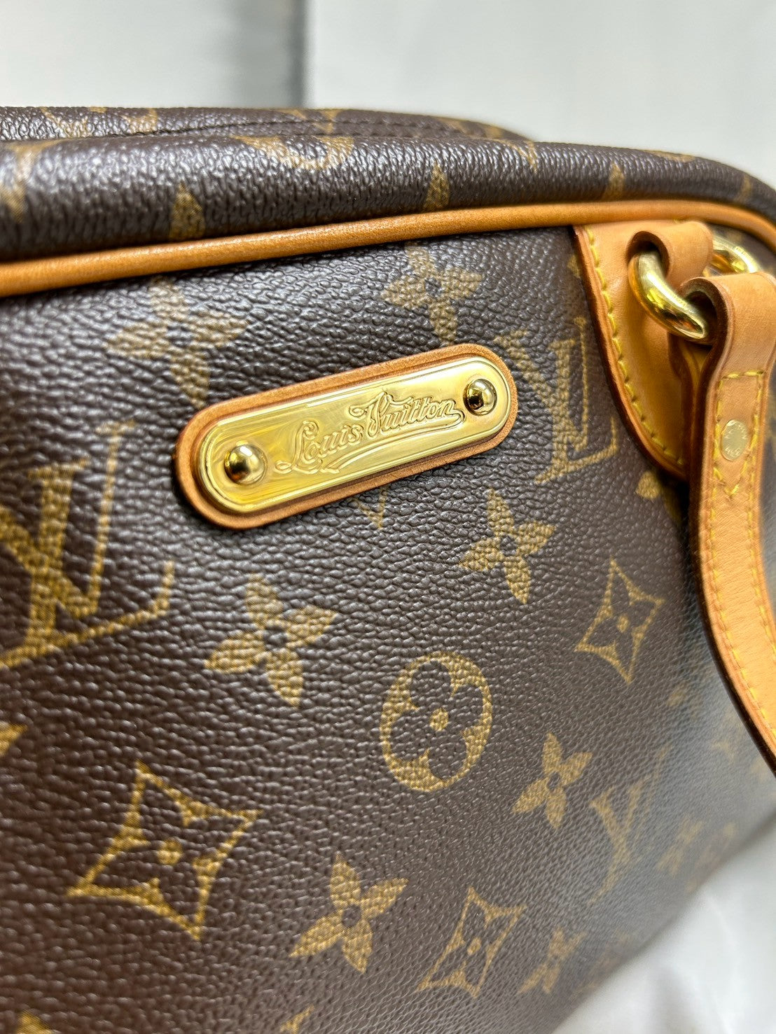 Louis Vuitton　Hundbag M95565